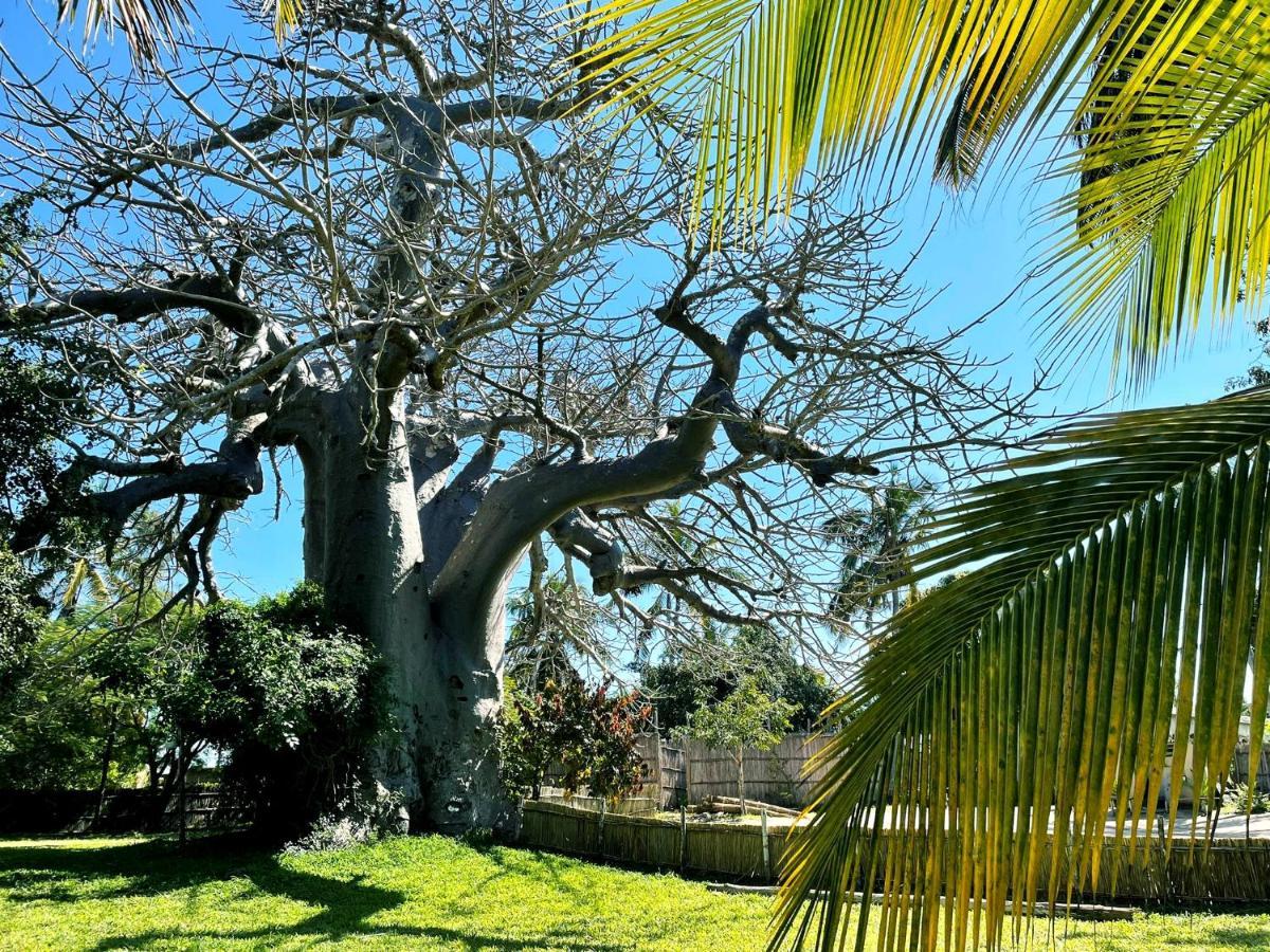 Baobab Beach Vilanculos Bagian luar foto