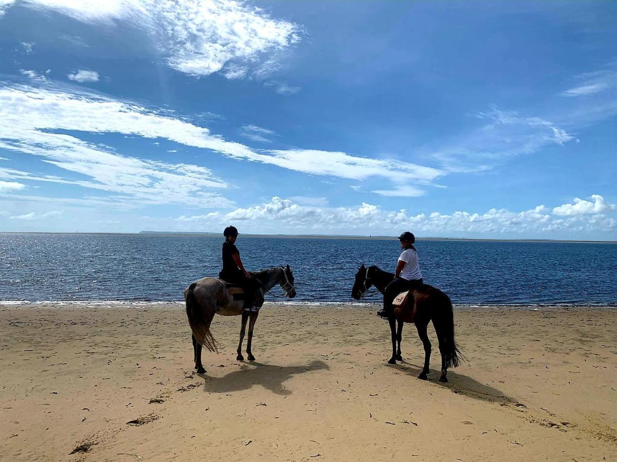 Baobab Beach Vilanculos Bagian luar foto