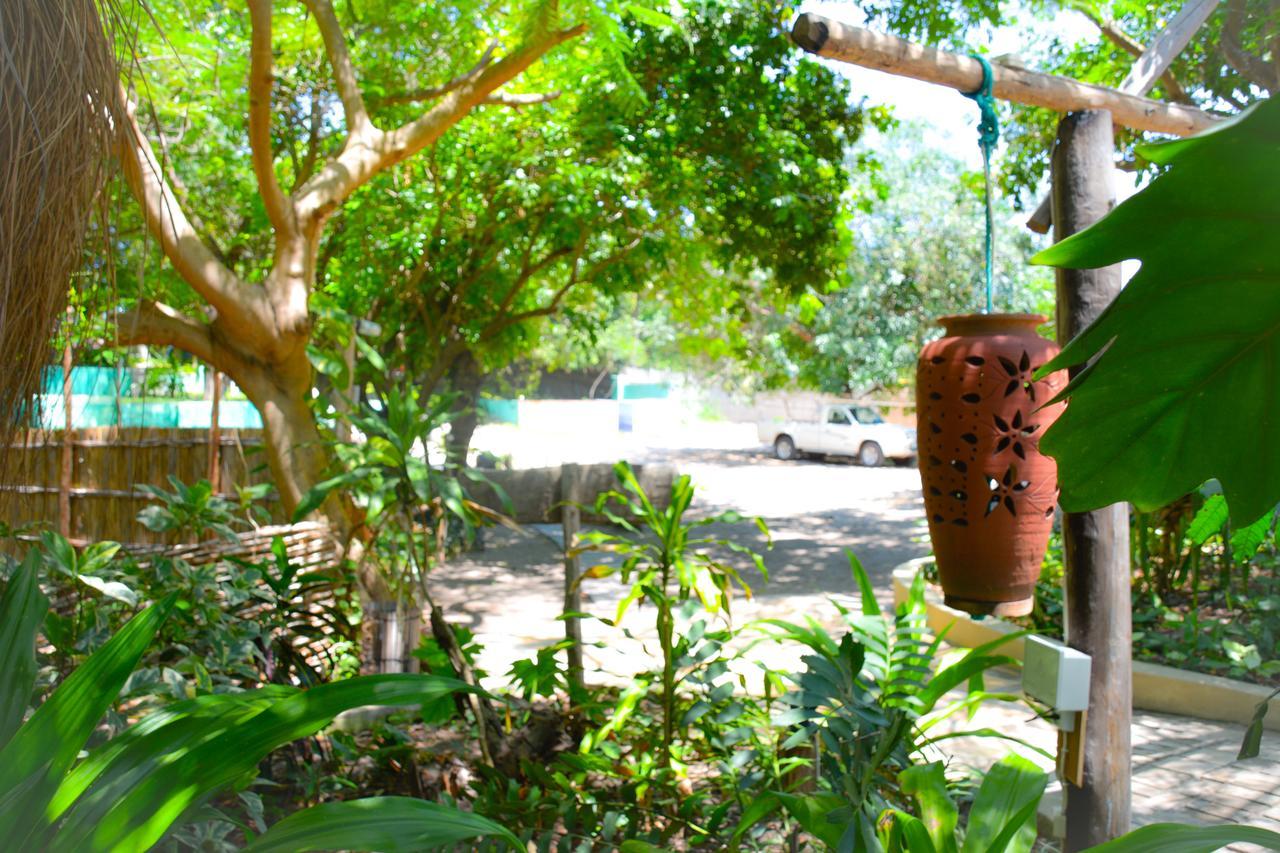 Baobab Beach Vilanculos Bagian luar foto