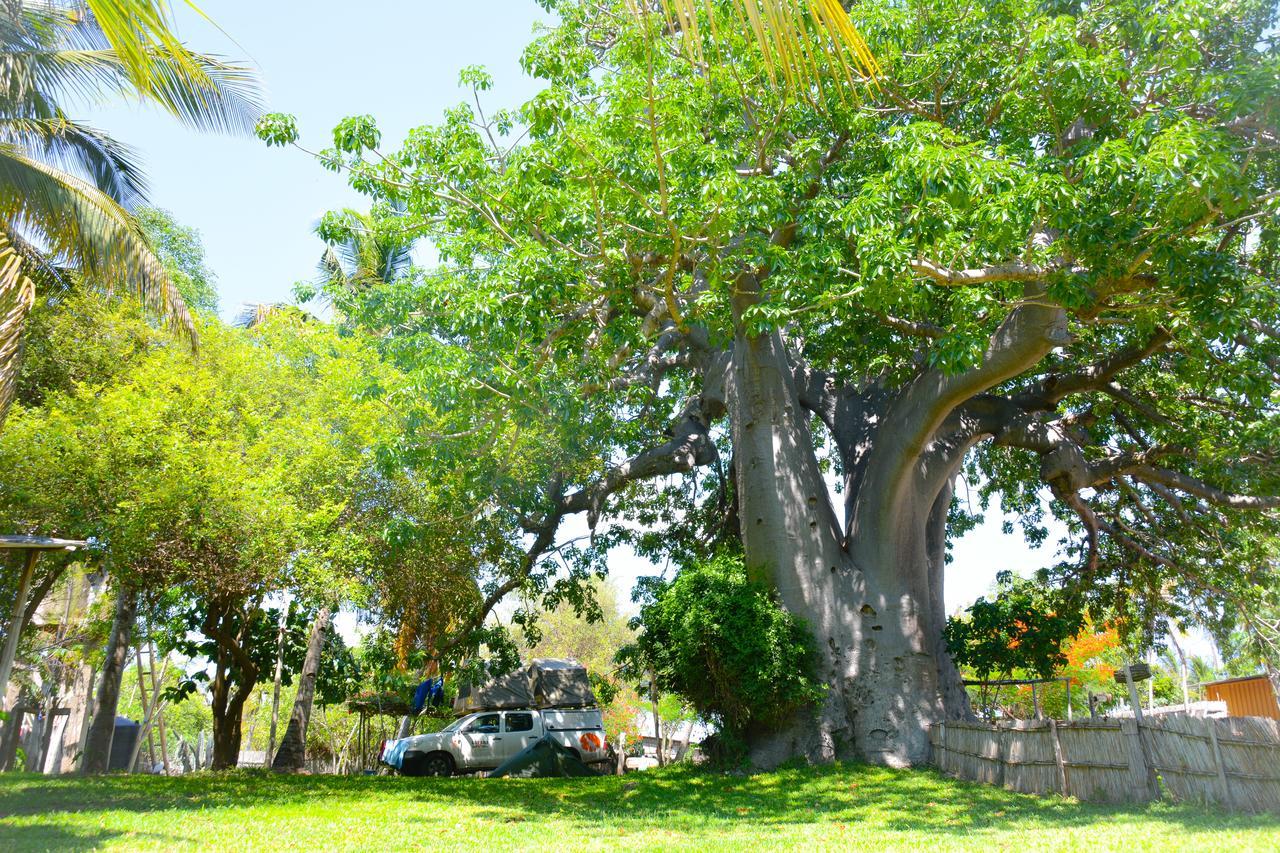 Baobab Beach Vilanculos Bagian luar foto